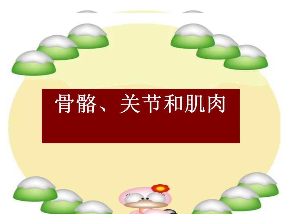 骨骼关节和肌肉.ppt_第1页