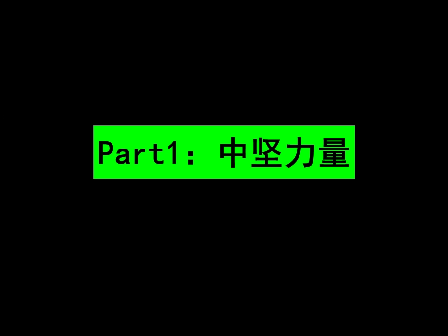 008年沈阳金冠兴顺街项目推广提案08p.ppt_第3页