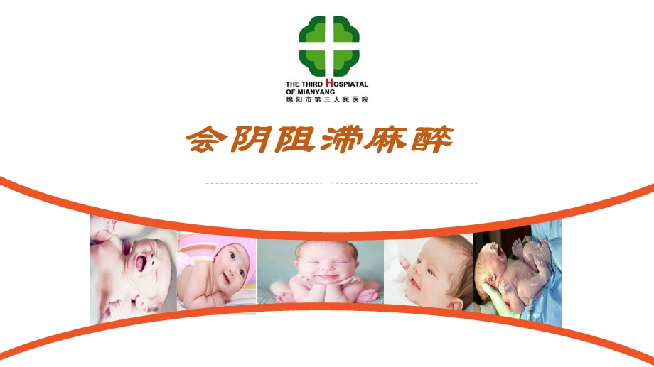 课件会阴阻滞麻醉.ppt_第1页