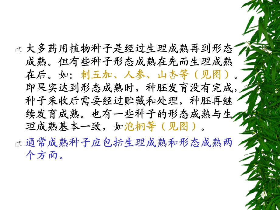 药用植物栽培学.ppt_第3页