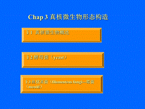 真核微生物形态构造.ppt