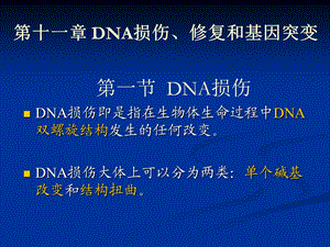 第十一章DNA损伤修复和基因突变.ppt