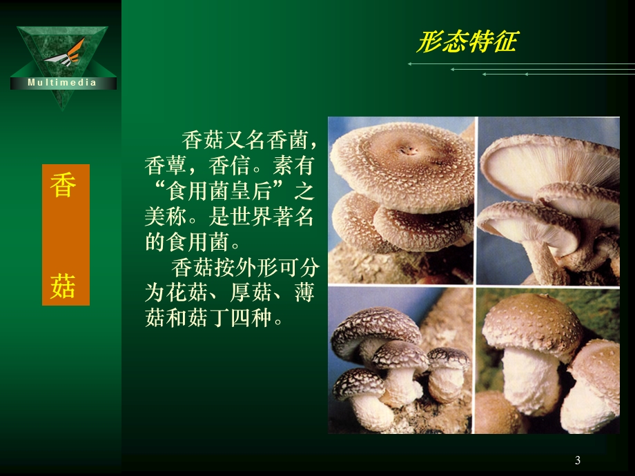 食用菌类ok.ppt_第3页