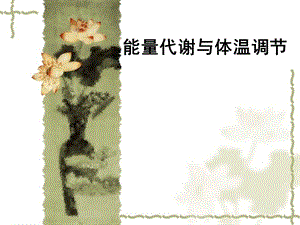 能量代谢和体温调节.ppt