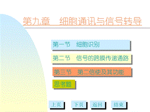 细胞通讯与信号转导.ppt