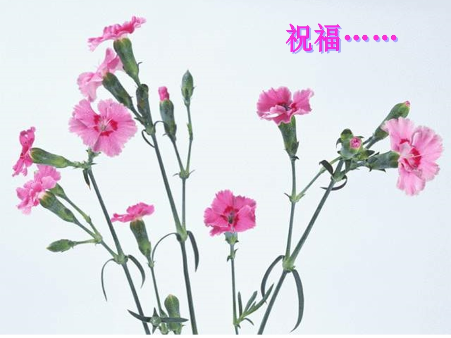 第三章第二节.ppt_第1页