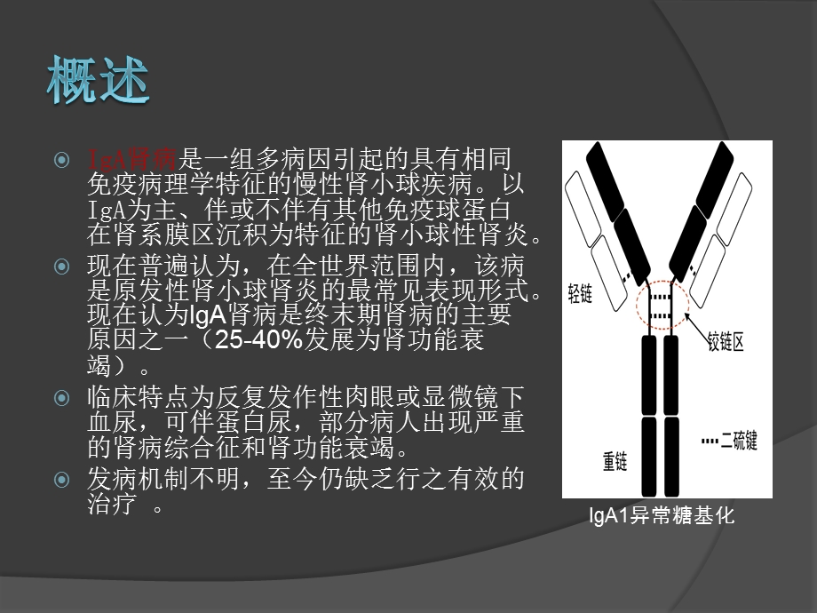 扁桃体切除对IgA肾病的影响.ppt_第2页