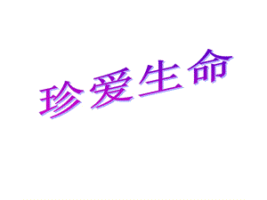 珍爱生命主题班会PPT课件.ppt