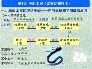 胚胎工程张韶杰.ppt