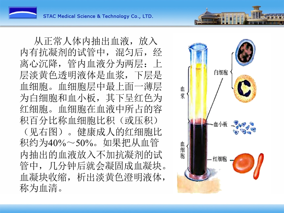 血液学临床知识基础.ppt_第3页