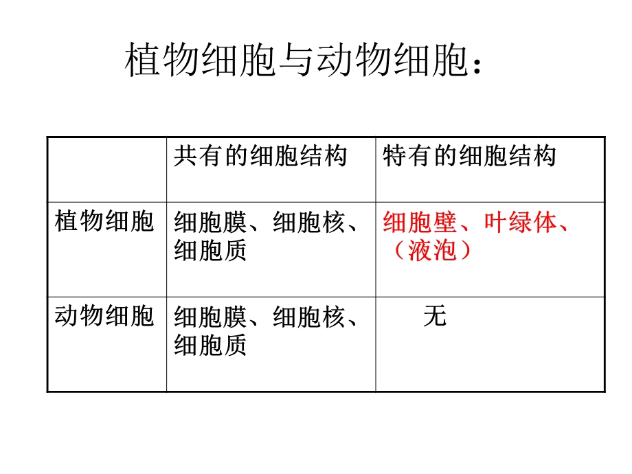 细胞分裂与分化.ppt_第1页