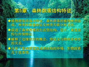 森林群落结构特征.ppt