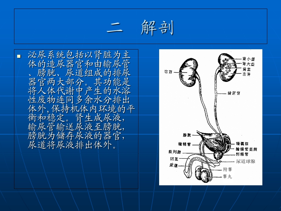 经皮肾镜碎石术的健康教育.ppt_第3页