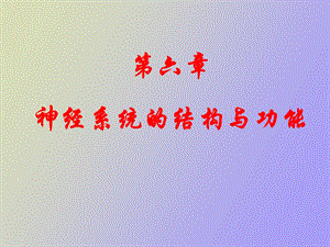 神经系统结构与功能.ppt