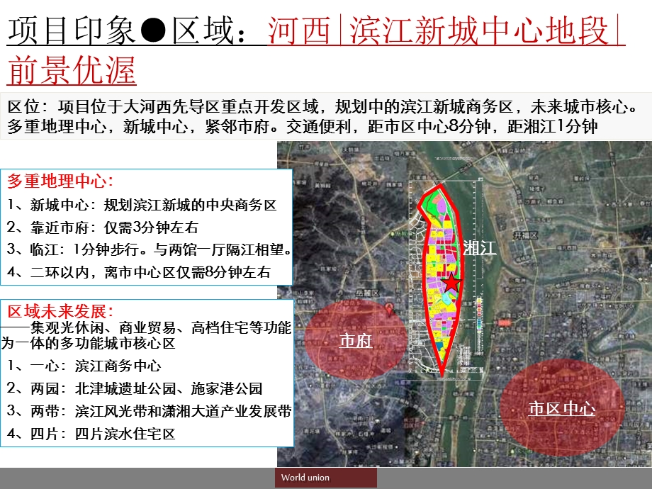 长沙南山滨江项目前期定位策划报告240页.ppt_第2页