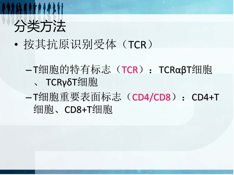 T淋巴细胞亚群及其临床意义.ppt_第3页