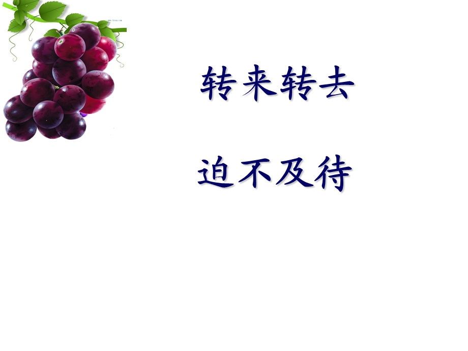 7酸的和甜的.ppt_第3页