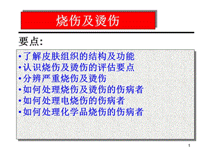 烧伤、烫伤和化学伤的基本处理.ppt