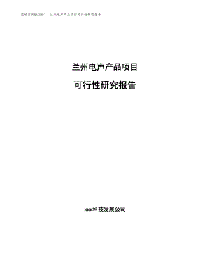 兰州电声产品项目研究报告.docx