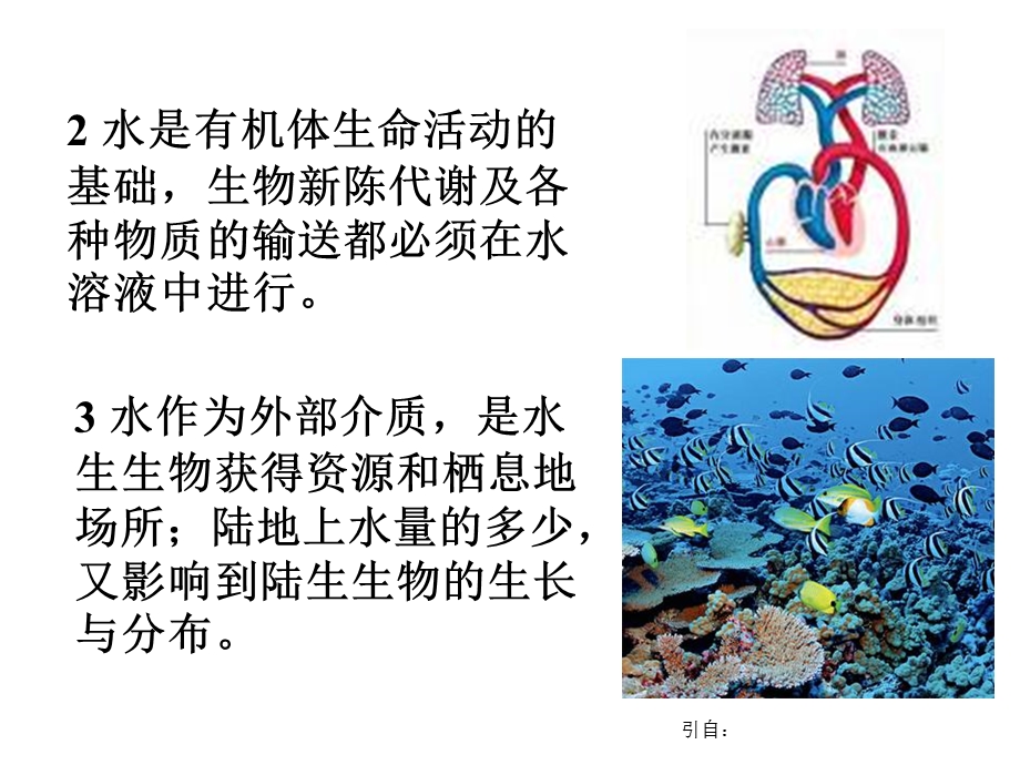 生物与水的关系.ppt_第2页