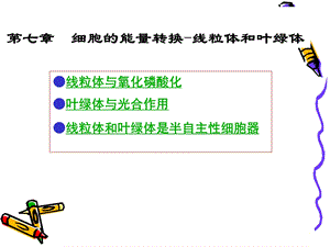 细胞的能量转换──线粒体和叶绿体.ppt