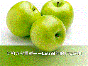 结构方程模型Lisrel的的初级应用.ppt