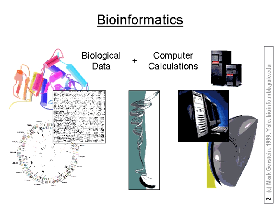 生物信息数据库.ppt_第3页