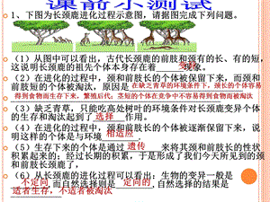 生物对环境的适应和影响 (I).ppt