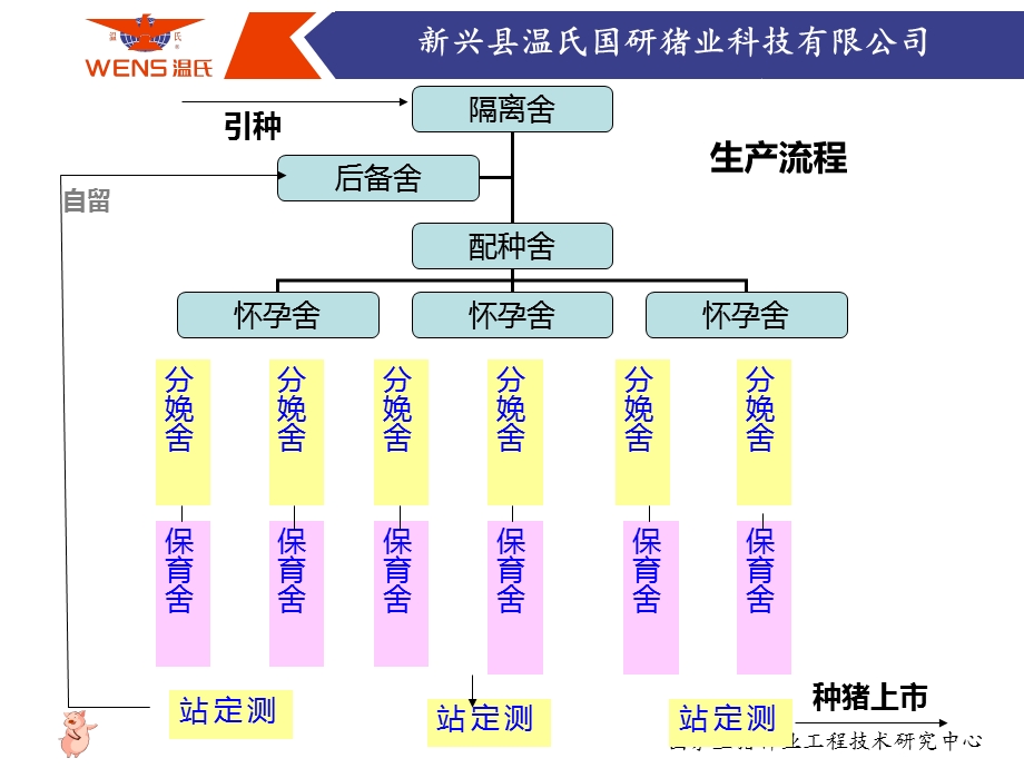 猪场生产计划的制定.ppt_第3页