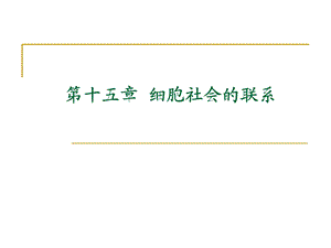 细胞与社会的联系.ppt