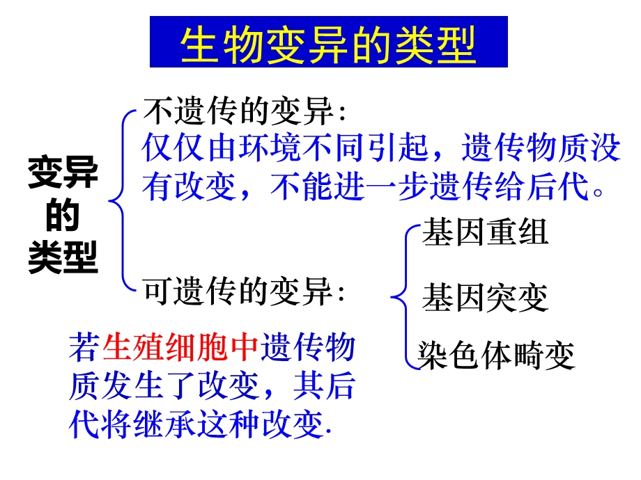 生物变异的来源及类型(复习).ppt_第2页