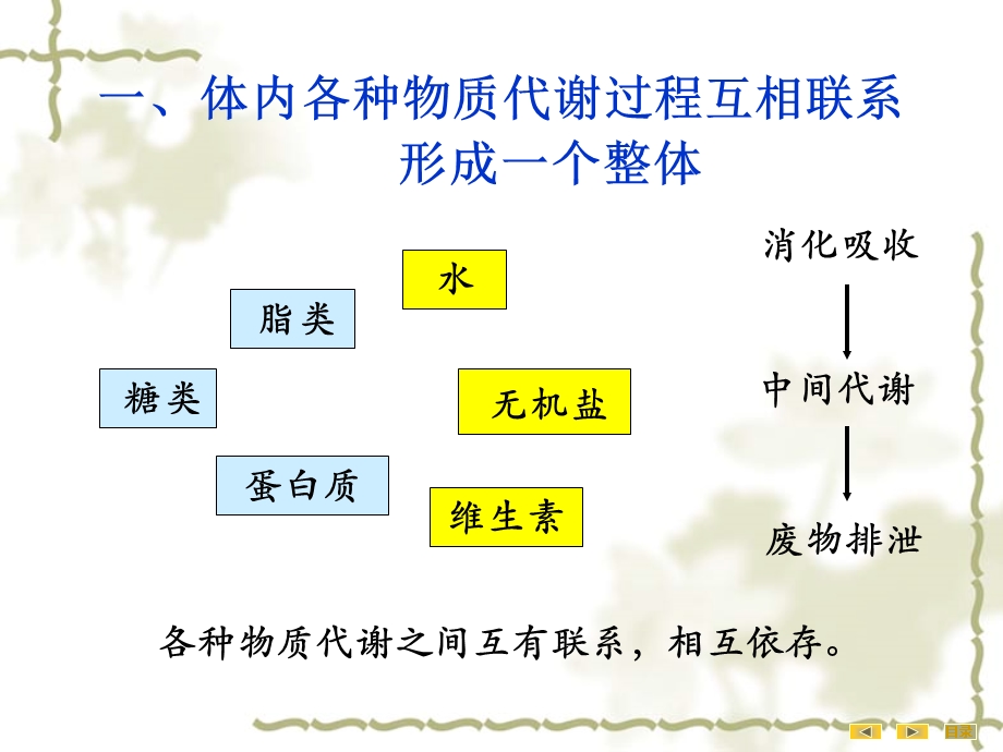 物质代谢的联系与调节(IV).ppt_第3页