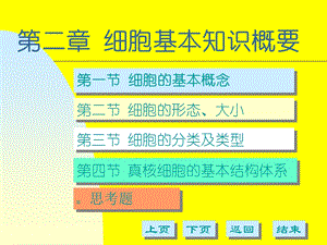 细胞的基本知识概要.ppt