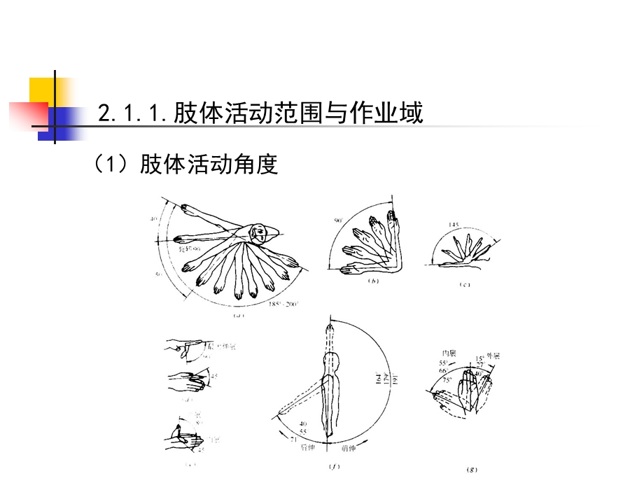 人体工程学第二章.ppt_第3页