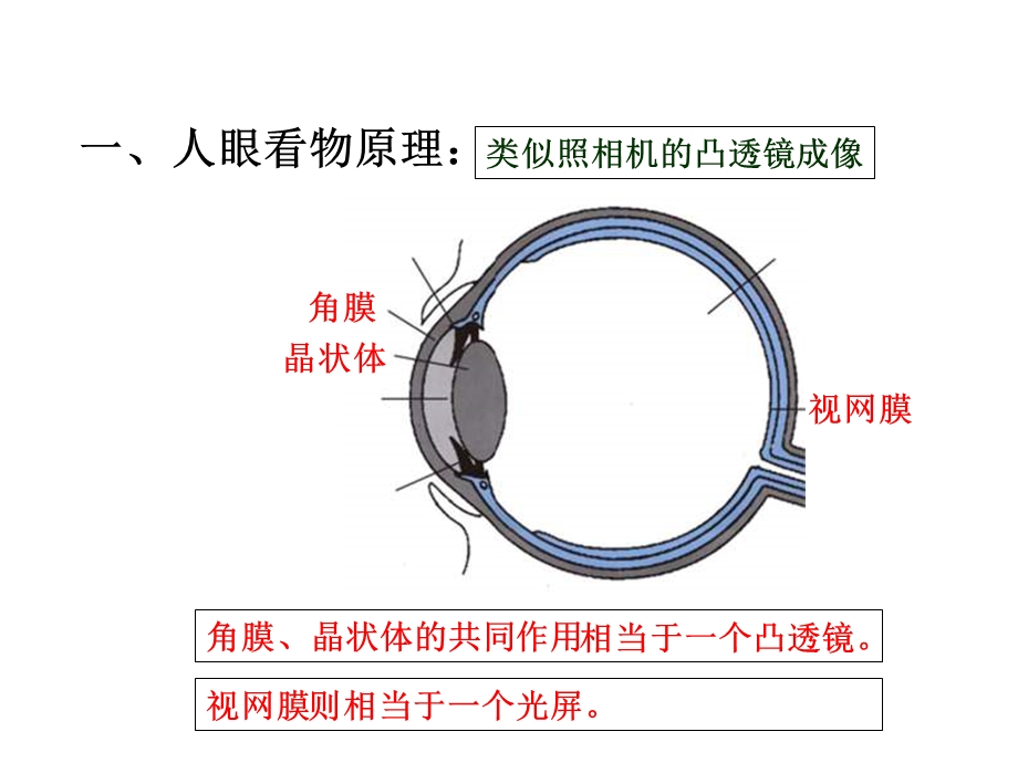 物理眼睛和眼镜.ppt_第2页