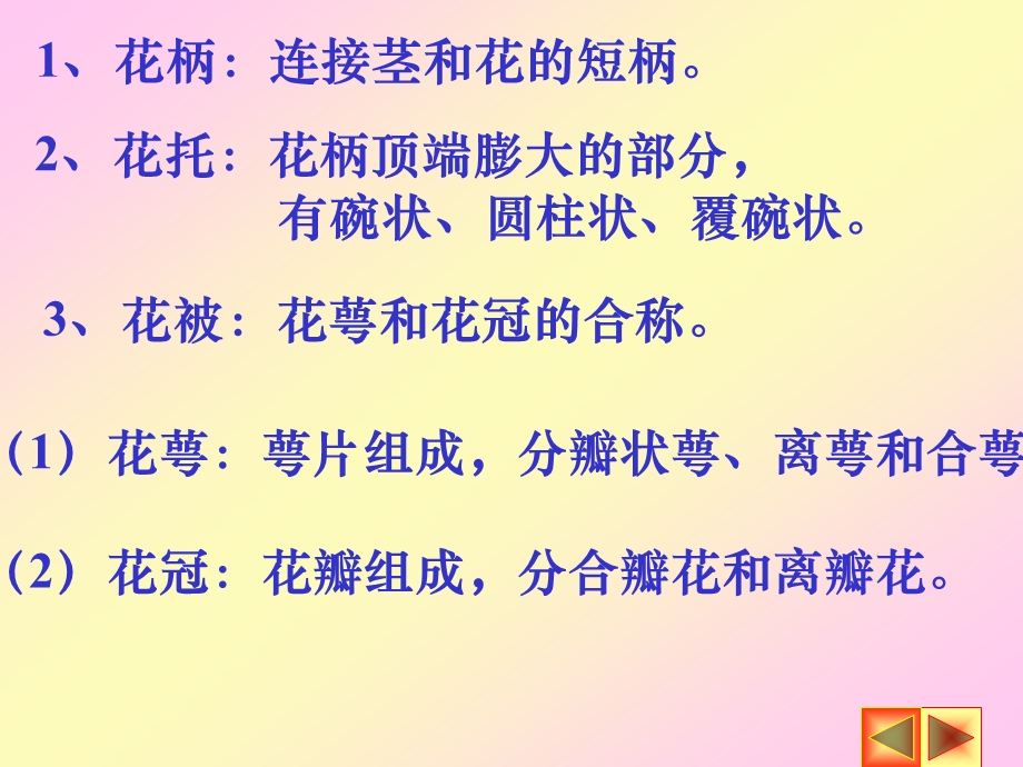 第四节花的形态和生理.ppt_第2页