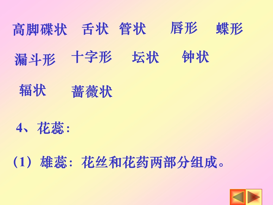 第四节花的形态和生理.ppt_第3页