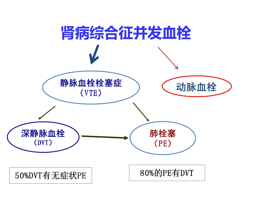 肾病综合征抗凝治疗.ppt_第3页