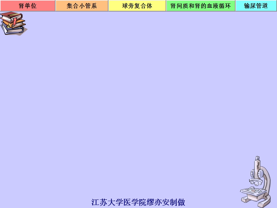 泌尿系生理功能.ppt_第1页