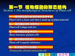 植物细胞的形态结构.ppt