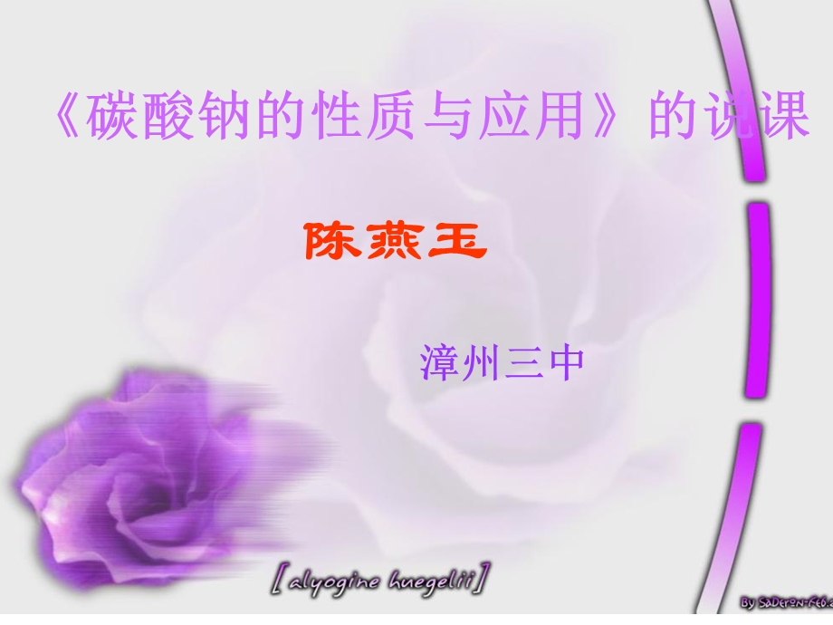 碳酸钠的性质与应用的说.ppt_第1页