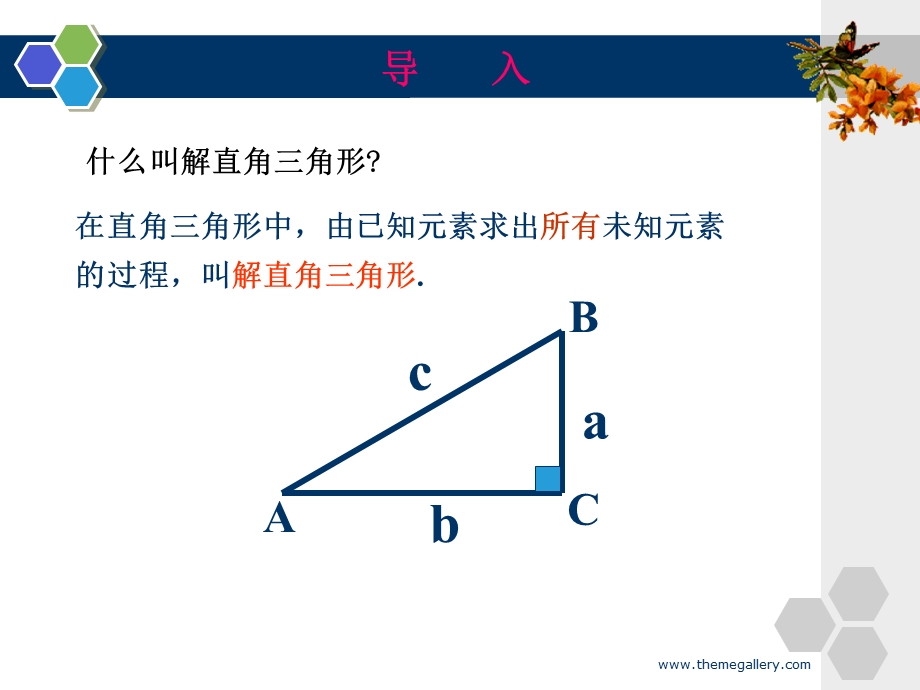 解直角三角形复习.ppt_第2页