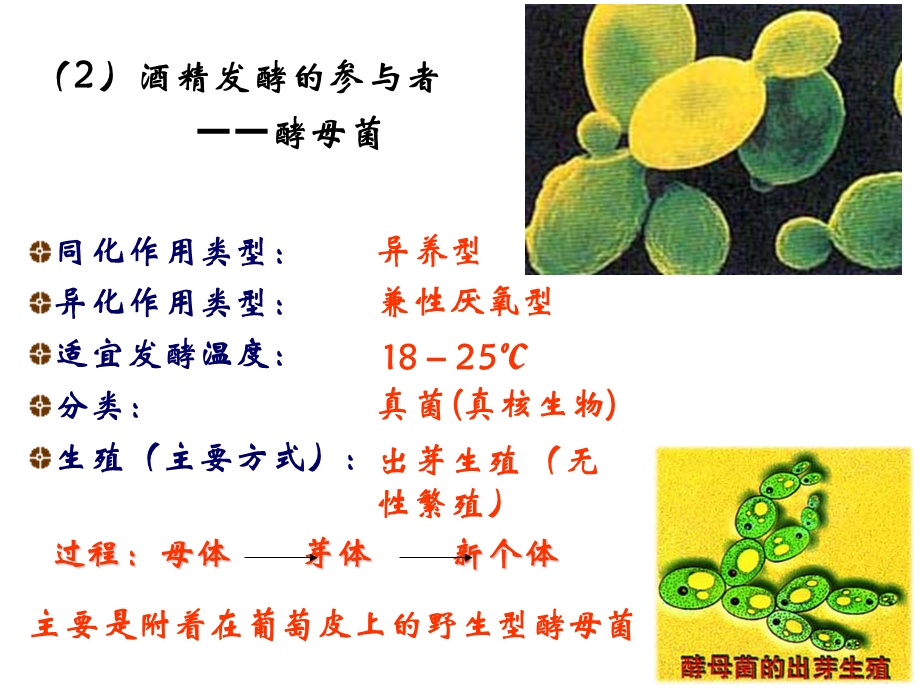 果酒果醋腐乳的制作.ppt_第3页