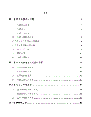 兰州纤维母粒项目可行性研究报告.docx