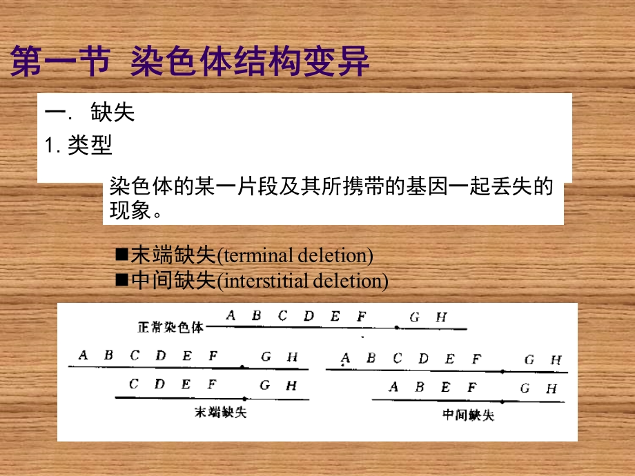 遗传学第9章染色体的变异.ppt_第2页