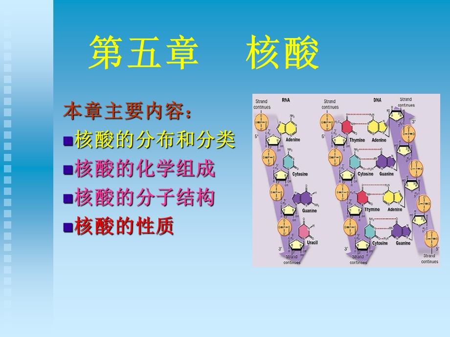 生物化学第五章核酸.ppt_第1页