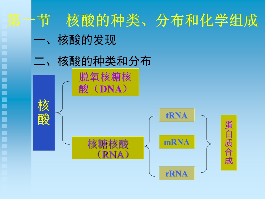 生物化学第五章核酸.ppt_第2页