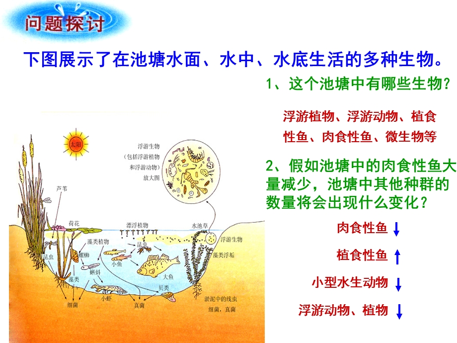 群落的结构(公开课).ppt_第3页