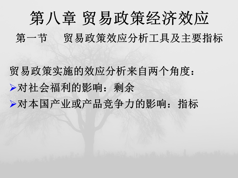 贸易政策经济效应.ppt_第1页