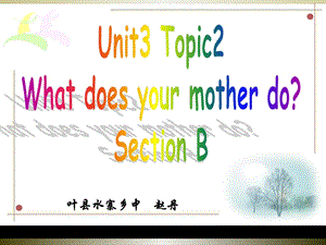 赵丹U3T2SB.ppt